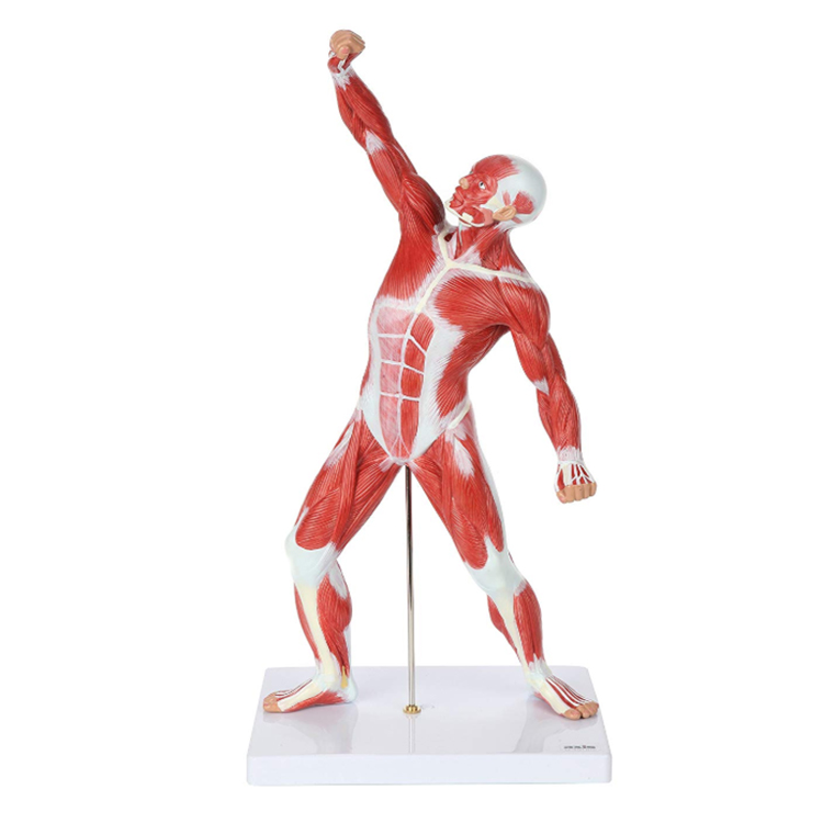 Miniature small human body figure resin product statue